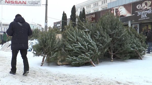 Ялинкові базари стартували