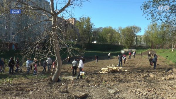 На місці зрізаних дерев висадять нові