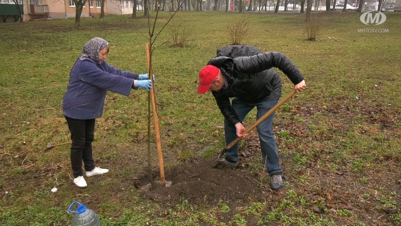 До Дня довкілля озеленювали місто