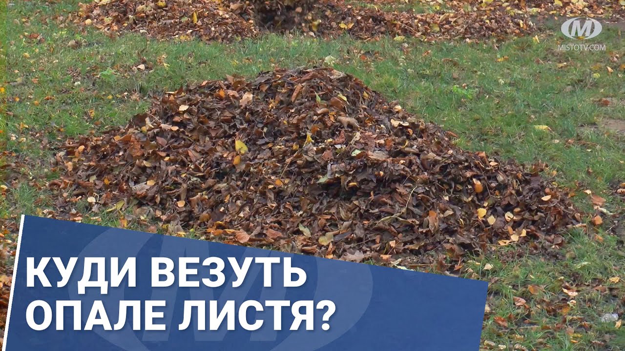 Куди везуть опале листя?