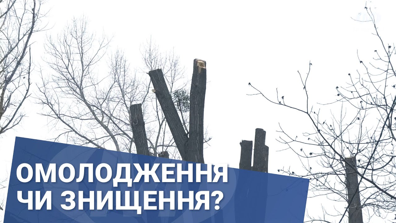 Омолодження чи знищення?