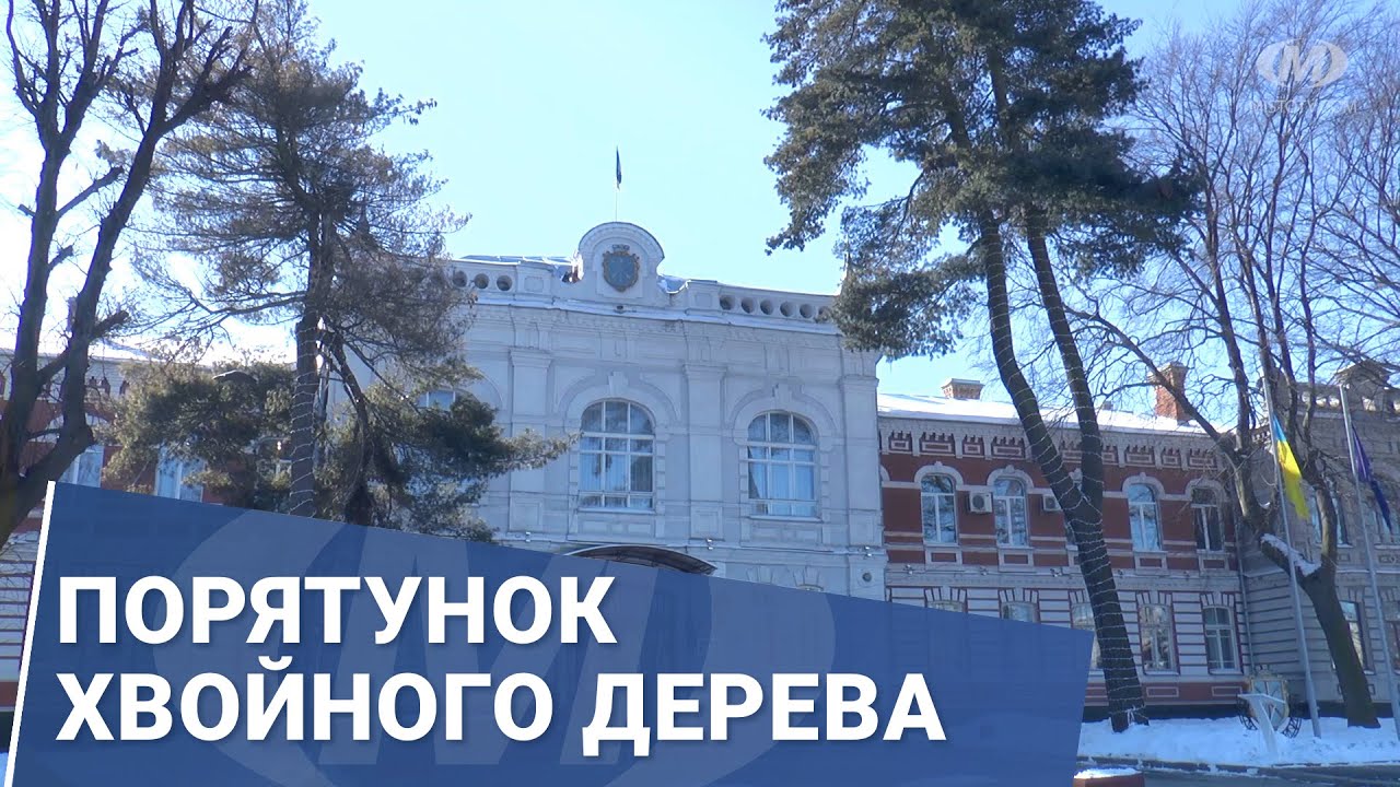 Порятунок хвойного дерева