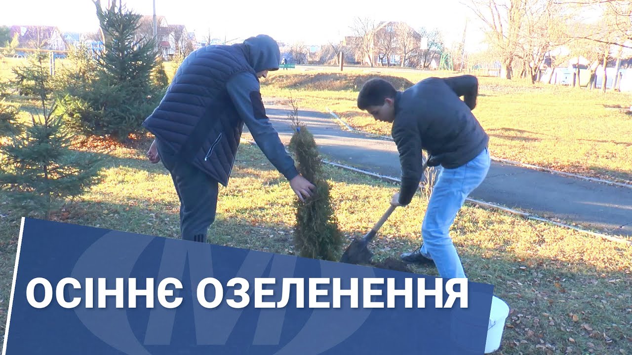 Осіннє озеленення