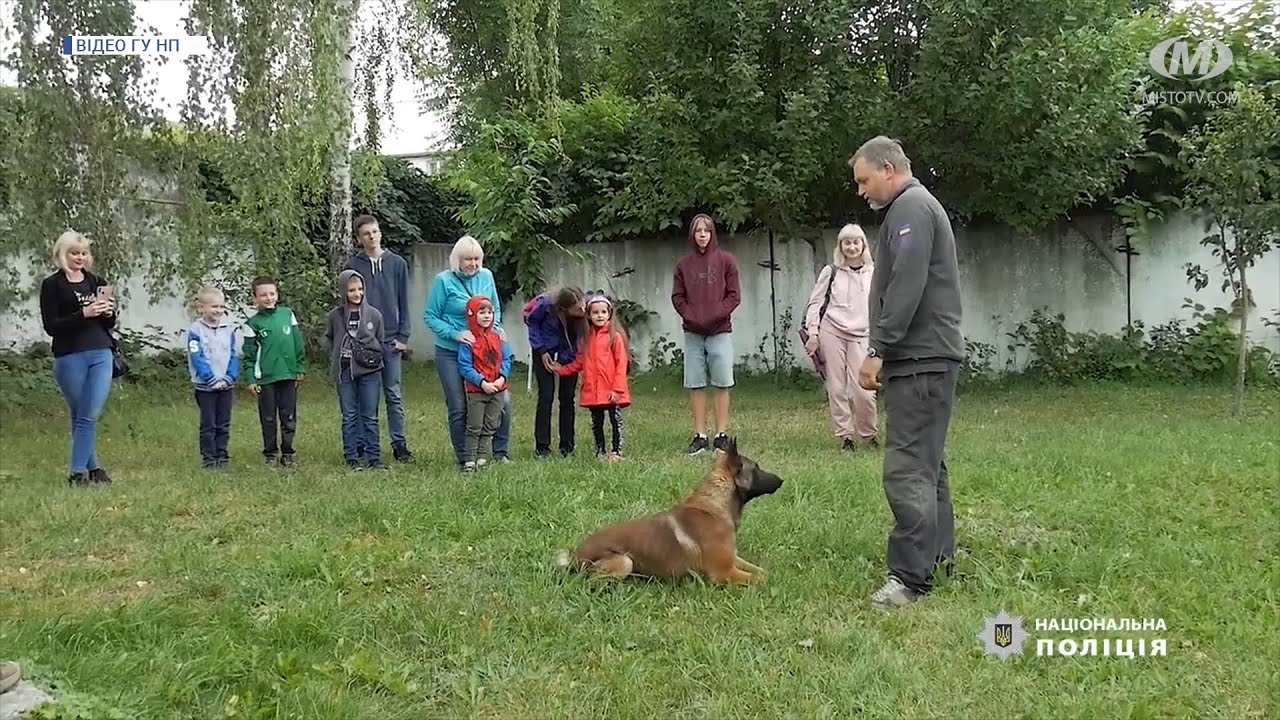 Діти з Маріуполя — в кінологічному центрі