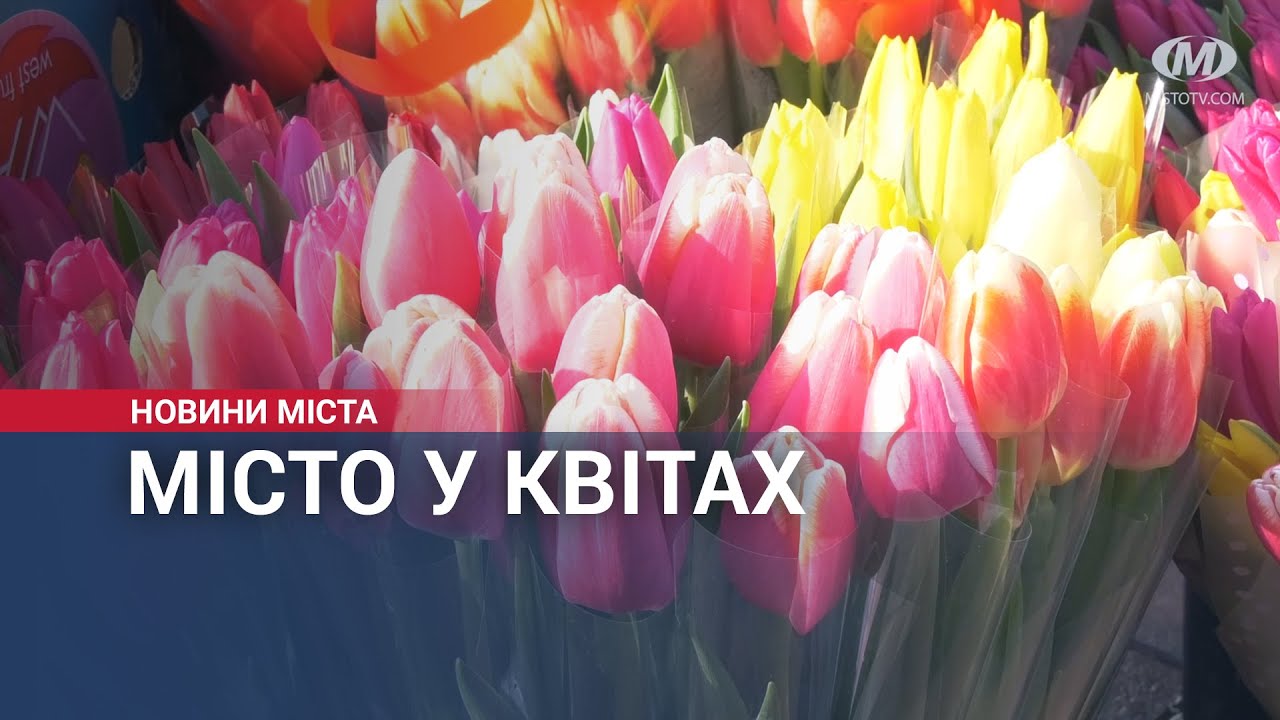 Місто у квітах