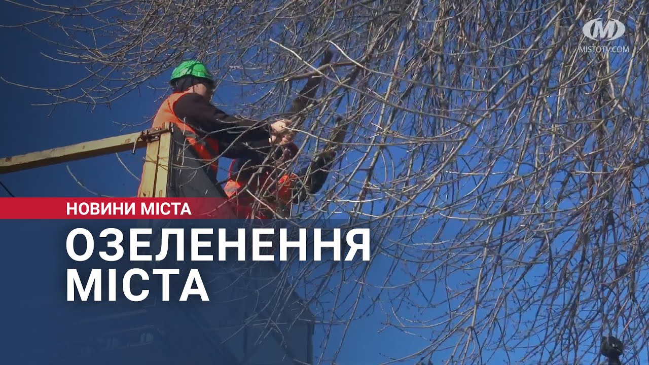 Озеленення міста