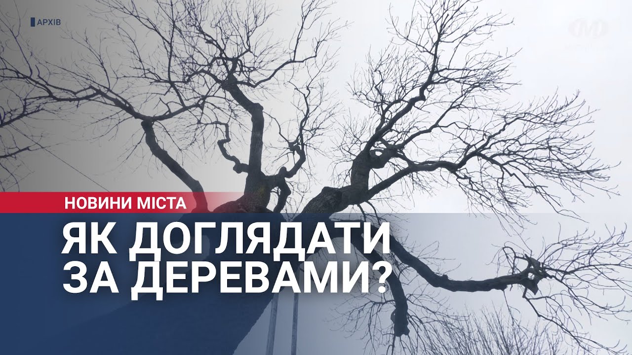 Як доглядати за деревами?