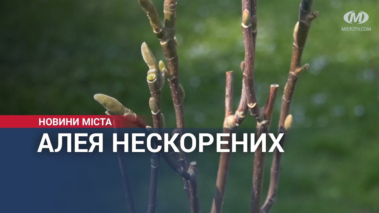 Алея нескорених