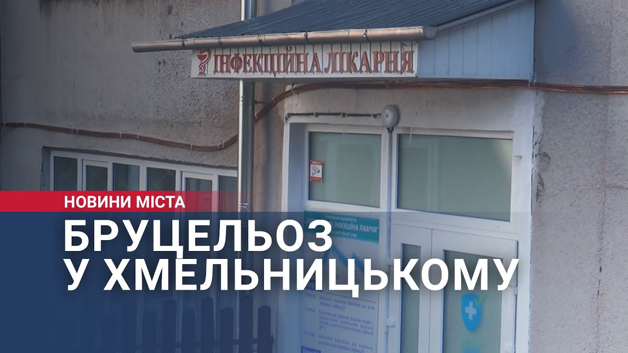 Бруцельоз у Хмельницькому