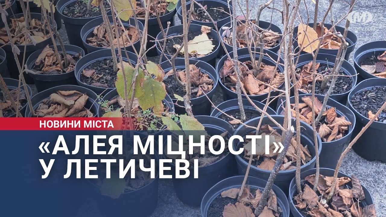 «Алея міцності» у Летичеві