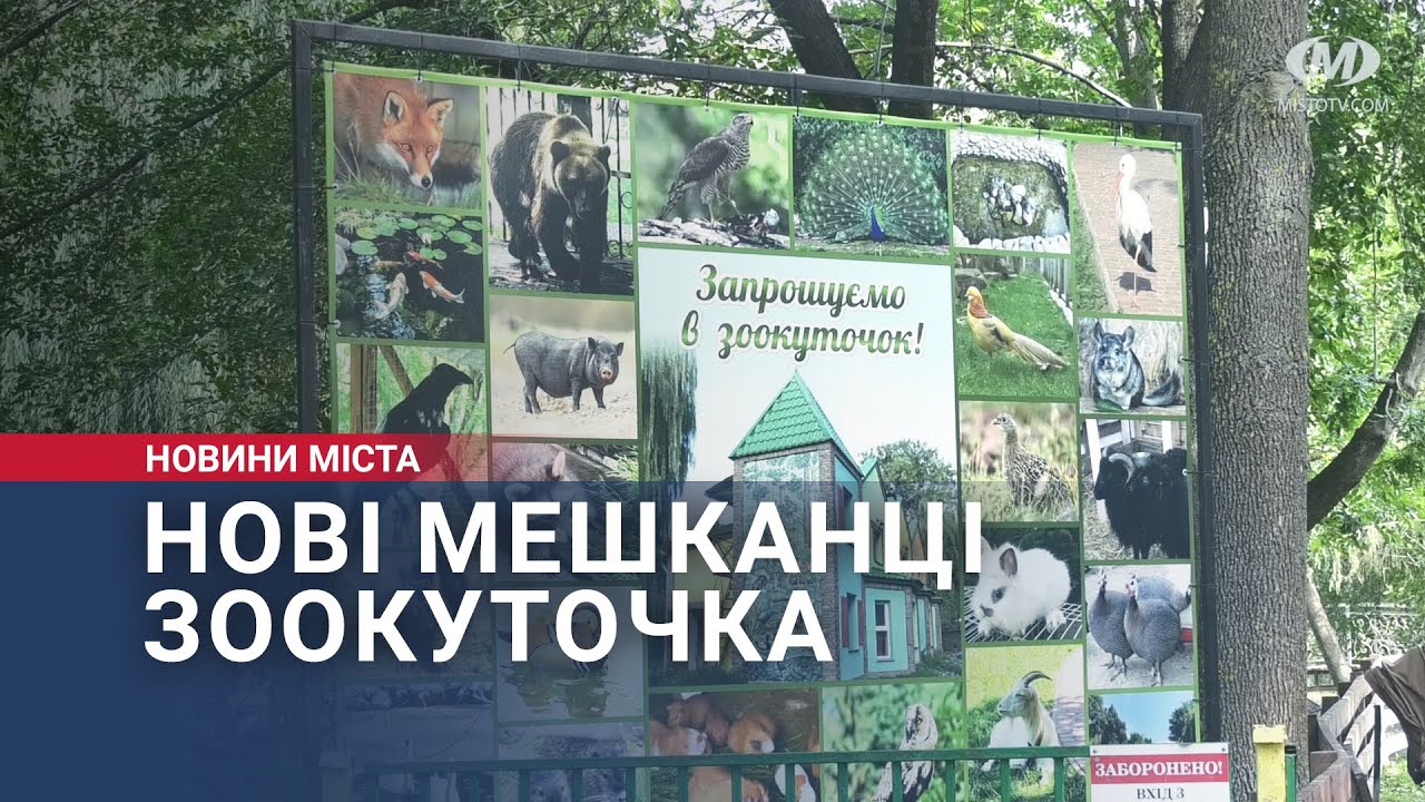 Нові мешканці зоокуточка