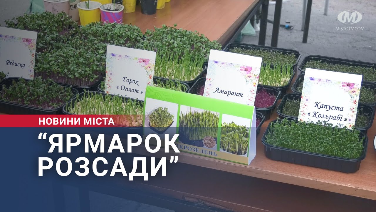 “Ярмарок розсади”