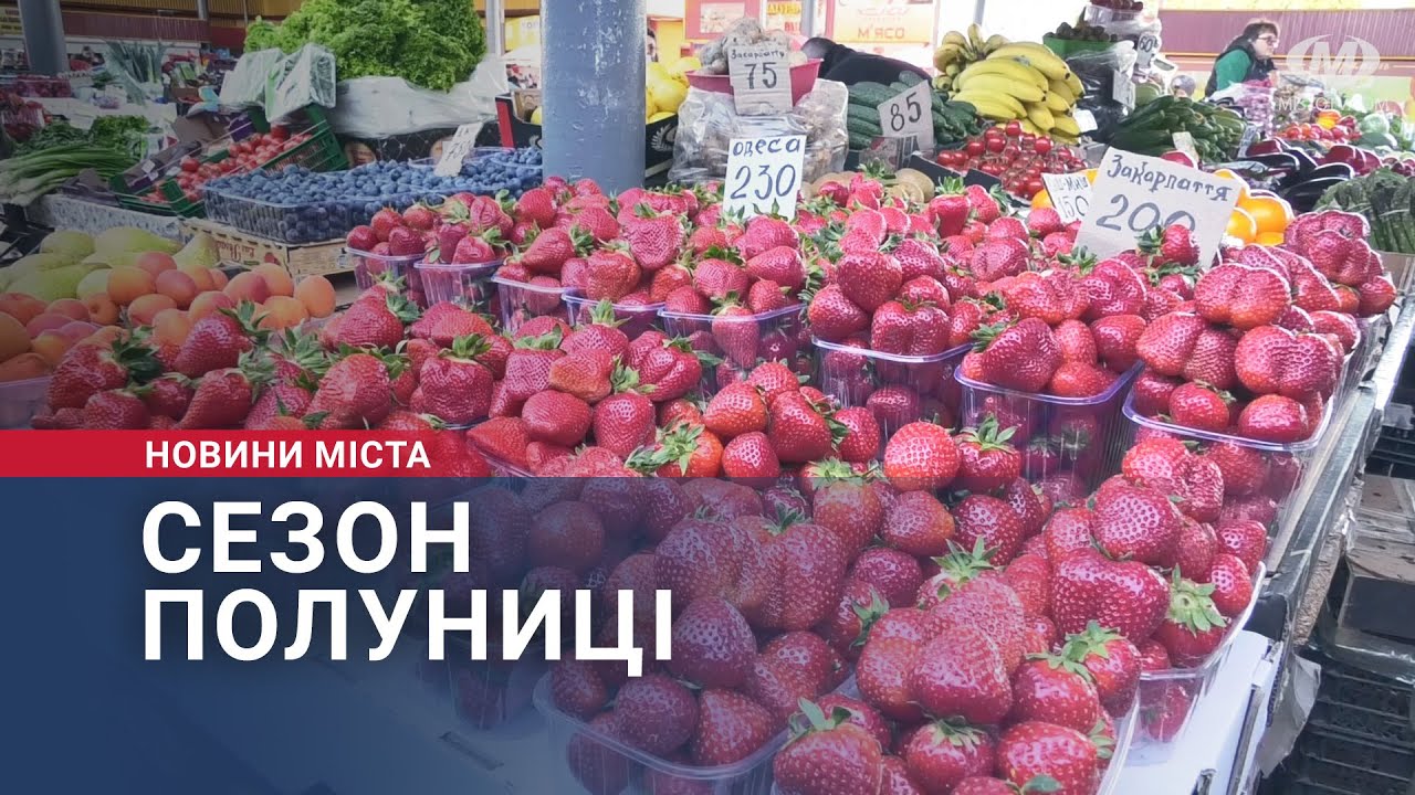 Сезон полуниці