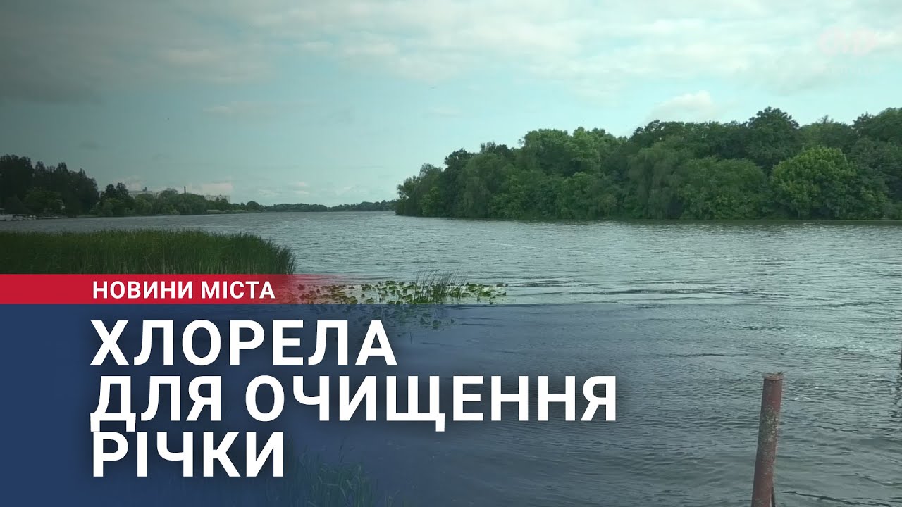 Хлорела для очищення річки