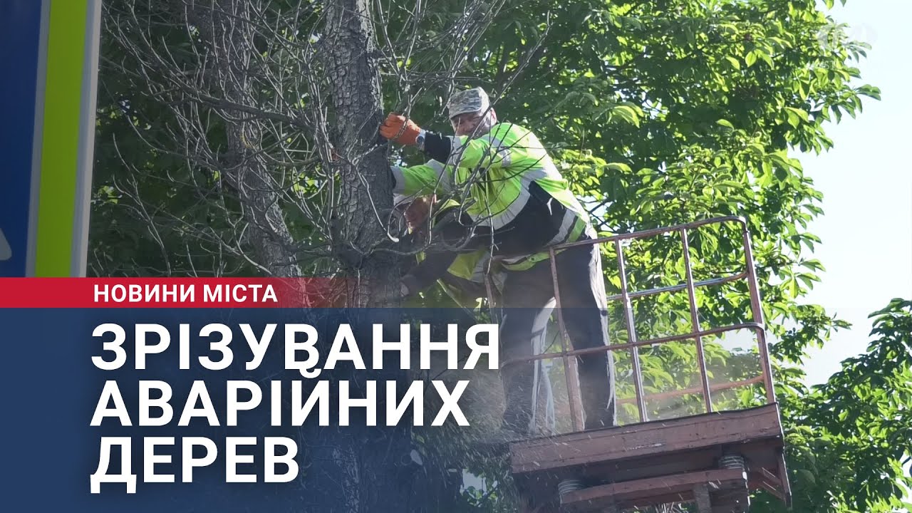 Зрізування аварійних дерев
