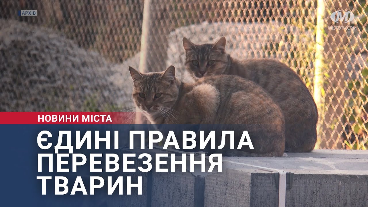 Єдині правила перевезення тварин