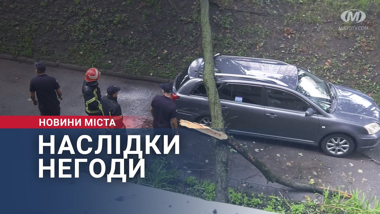 Наслідки негоди