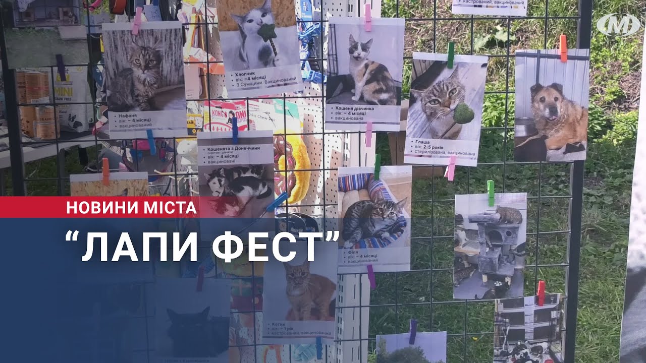 “Лапи Фест”